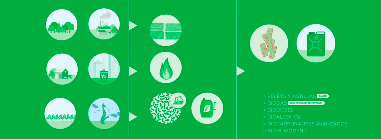 transformación de las biomasas